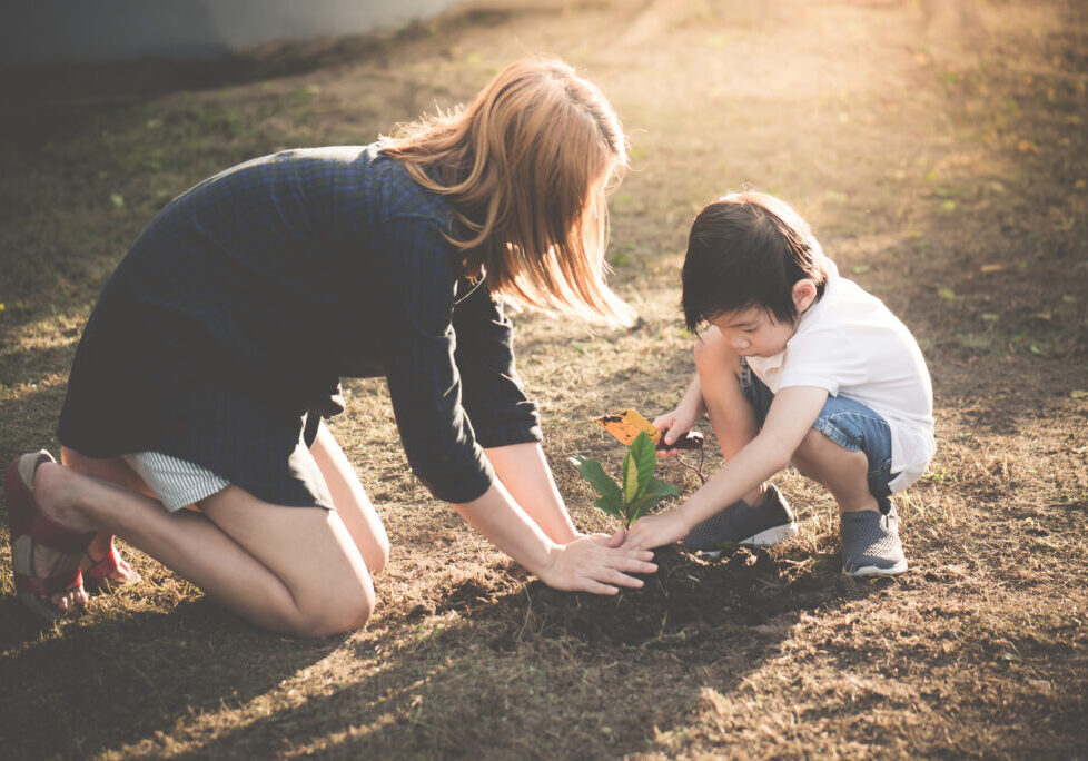 Asian,Mother,And,Son,Planting,Young,Tree,In,Black,Soil