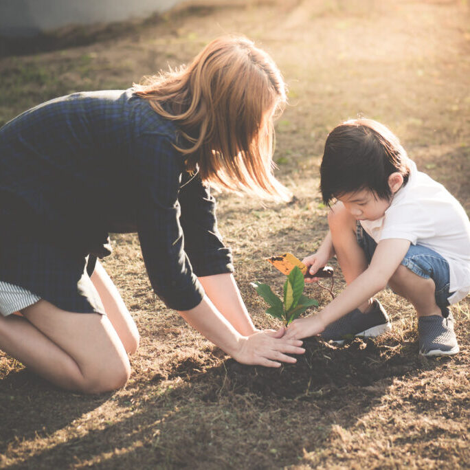 Asian,Mother,And,Son,Planting,Young,Tree,In,Black,Soil